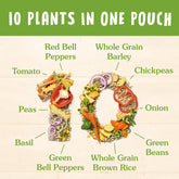 BEN'S ORIGINAL 10 MEDLEY Tomato and Herbs, Hearty Medley of Grains, Vegetables, Legumes and Herbs, Side Dish, 8.5 OZ pouch